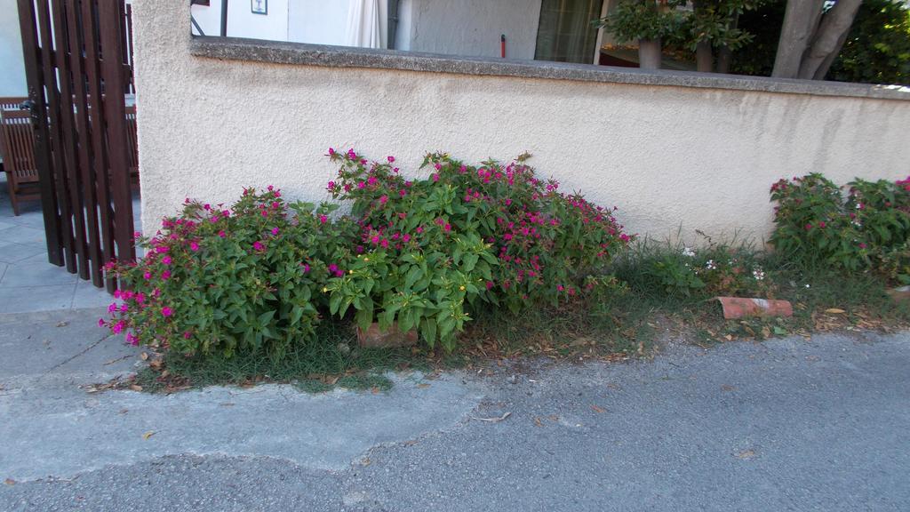Guest House Accommodation Rupine Premantura Exterior photo